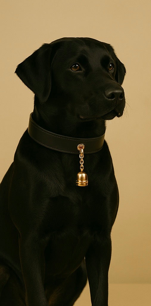 Collier Urban Paws - Gold Edition
