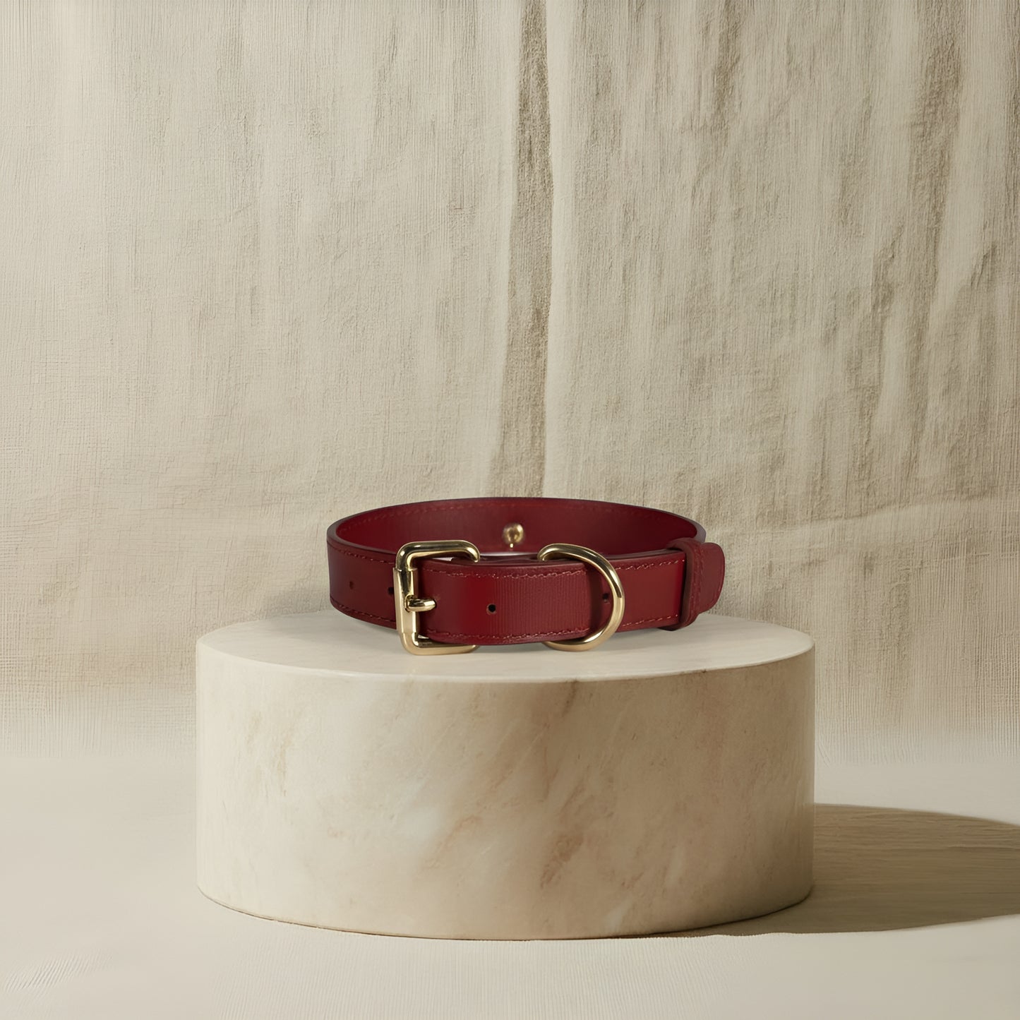 Terra Paws collar - Limited Edition