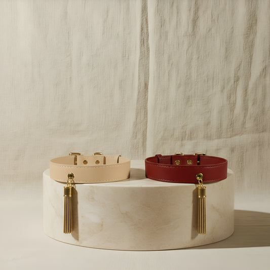 Collier Terra Paws - Limited Edition