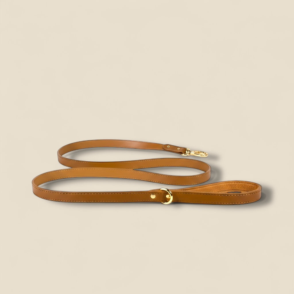 Laisse Urban Paws - Gold Edition