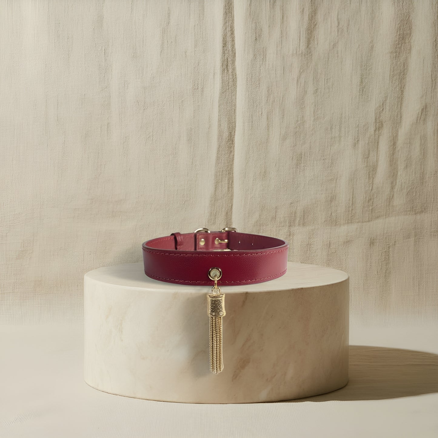 Terra Paws collar - Limited Edition