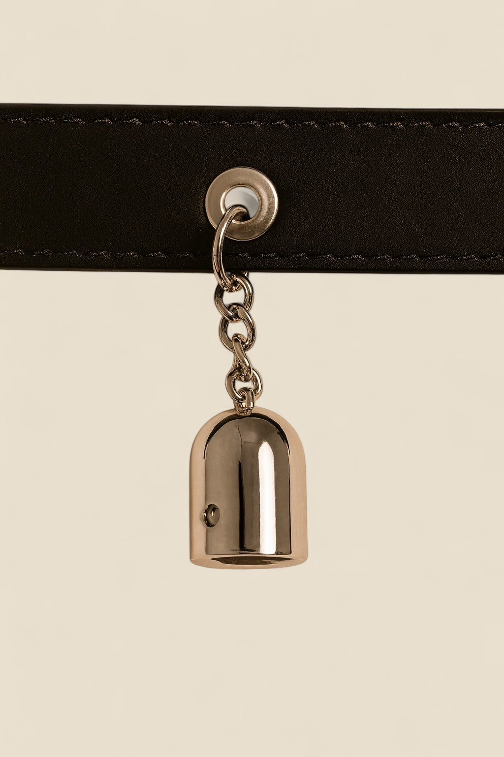 Urban Paws collar - Silver Edition