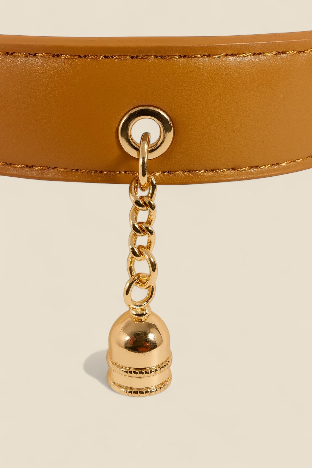 Urban Paws Collar- Gold Edition