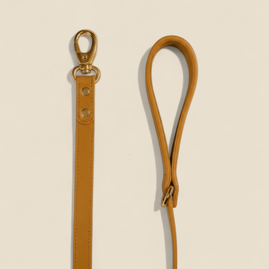 Laisse Urban Paws - Gold Edition