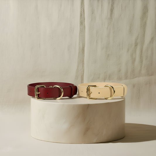 Collier Terra Paws - Limited Edition