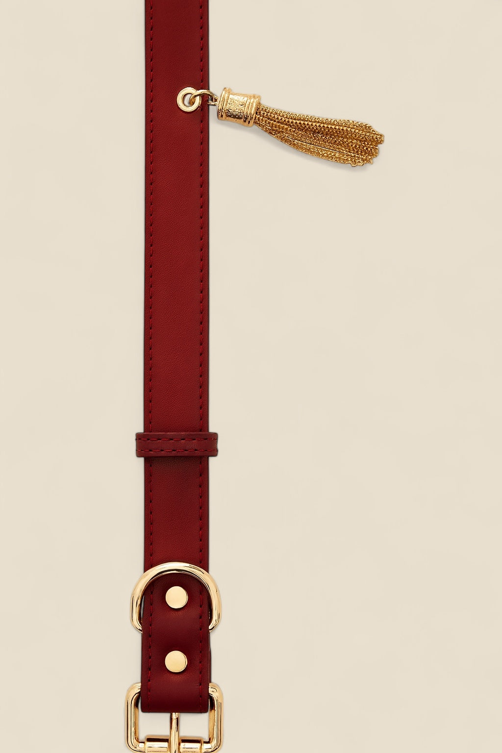 Terra Paws collar - Limited Edition