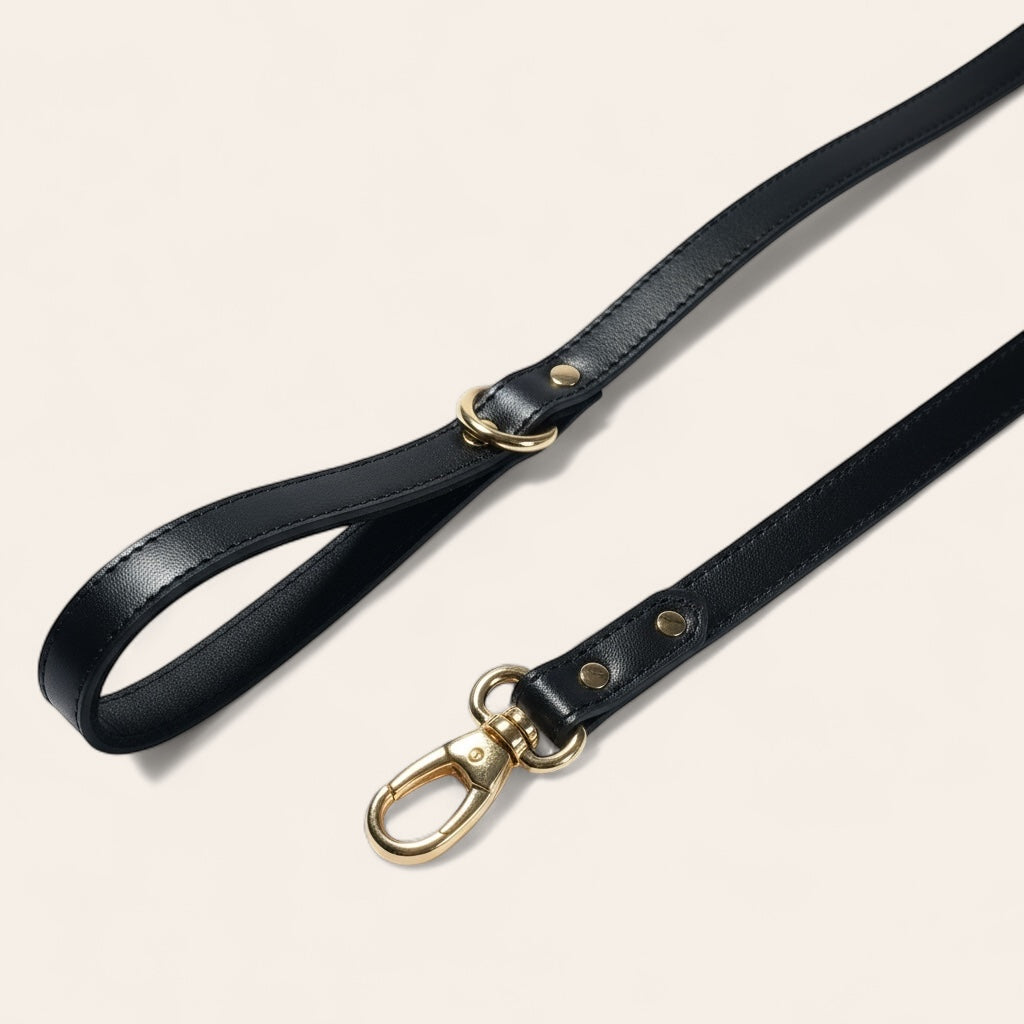 Laisse Urban Paws - Gold Edition