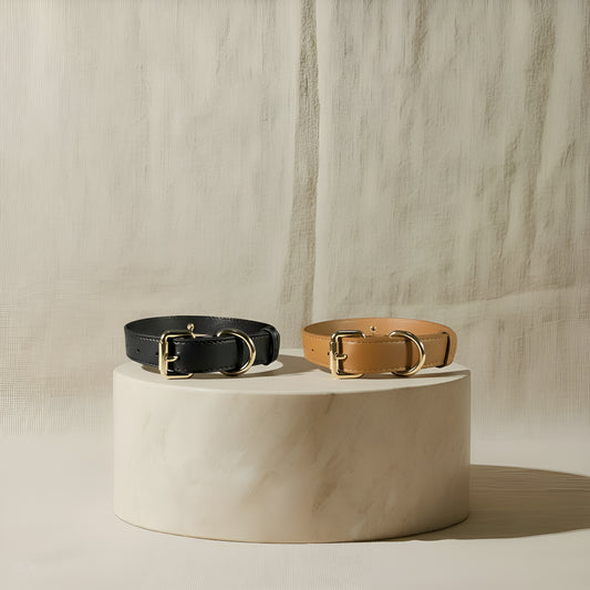 Collier Urban Paws - Gold Edition