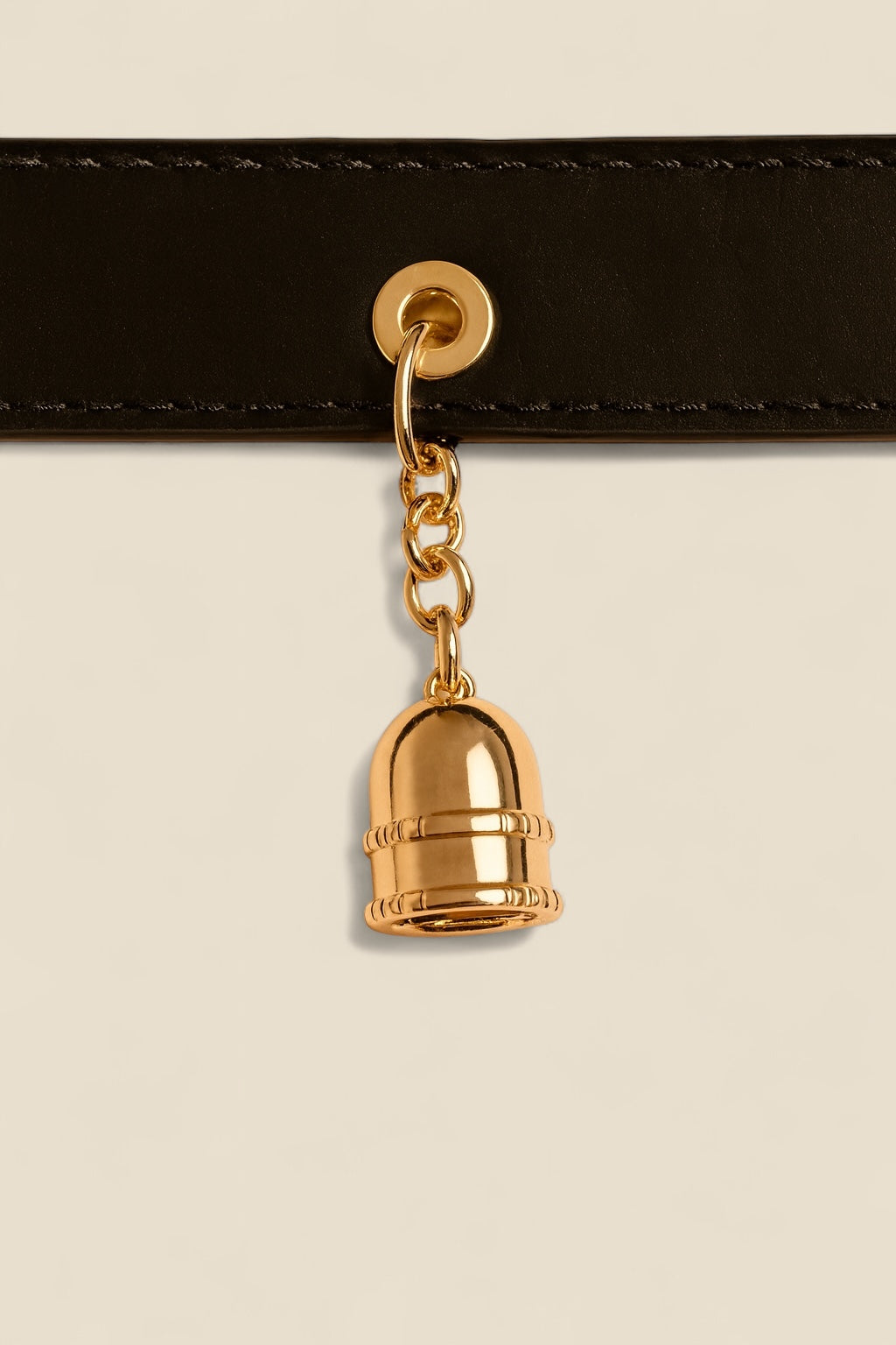 Urban Paws Collar- Gold Edition