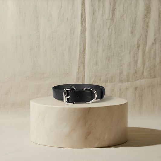 Collier Urban Paws - Silver Edition