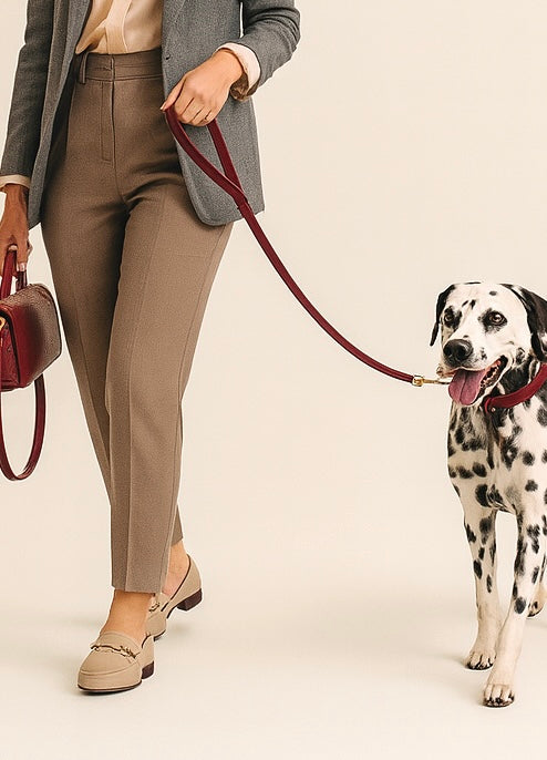 Laisse Urban Paws - Gold Edition