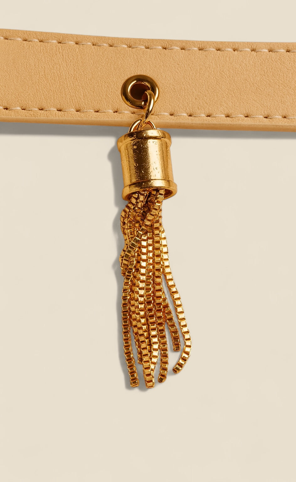 Terra Paws collar - Limited Edition